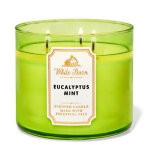 EUCALYPTUS MINT 3-WICK CANDLE